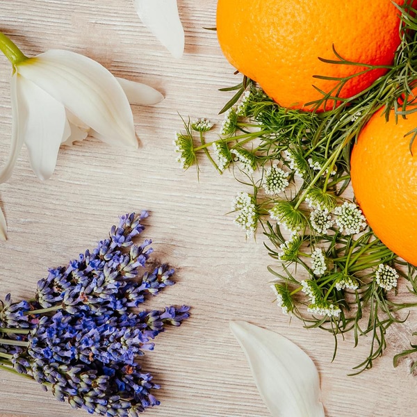 Fragrance Diffuser – Neroli Blossom & Lavender (120ml)