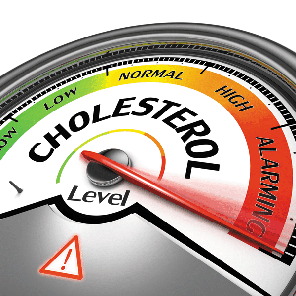 Cholesterol Screening