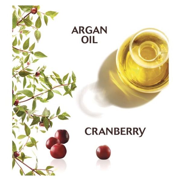 Garnier Ultimate Blends Argan Oil Coloured Conditioner (360ml)