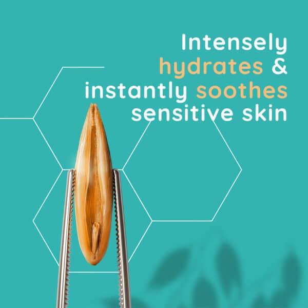 aveeno_calm_restore_moisturiser_50ml_card Aveeno Calm Restore Moisturiser 50ml card - Pharmhealth