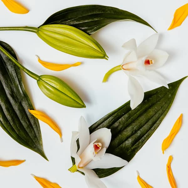 Fragrance Diffuser – White Lily & Ylang Ylang (120ml)