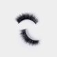 Kiss Lash Couture Gala Pair of lashes